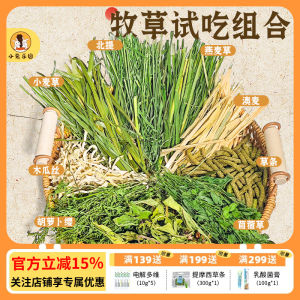 Rabbit Trial Food Hay Timothy Grass Alfalfa Hay Carrot Top