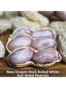 Salty Garlic Flavor Wet Roasted Peanuts