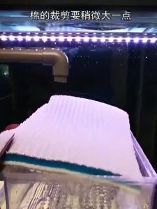 8D HoneyComb Busa Spon Filter Magic Aquarium