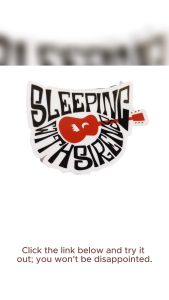 SLEEPING WITH SIRENS ROCK N ROLL BAND VINYL STICKERS