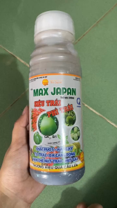 MAX JAPAN PHÌ LỚN TRÁI  CHẮC RUỘT – NẶNG KÝ –TO TRÁI – DA CĂNG BÓNG – HẠN CHẾ NỨT TRÁI NÚT GAI  500ML