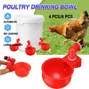 LoviRa Automatic Drinking Cup Chicken Feeder & Poultry Drinking Bowl