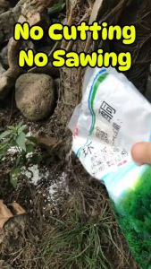 500G Powerful Grass Tree Killer Contains Super Effective Chemical Hexazinone Root Removal Kill Trees