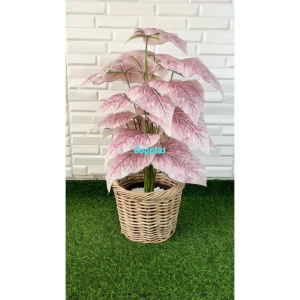 Pohon Hias Tanaman Artificial Calladium Pink Full X18 Semilatex Cover Pot Rotan Bulat Dekorasi Sudut Cafe