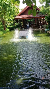 กังหันตีน้ำพลังงานแสงอาทิตย์ รุ่น 2ใบพัด