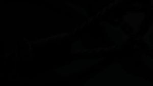 20inch Hose Whip Check Safety Cable Anti-Collapsible Anti-Dropping Arrestor Wire Rope