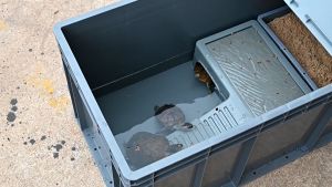 Thùng nhựa L nhiều kích thước dùng nuôi cánuôi rùa đựng dụng cụ đồ nghề Lọc thùng nhựa cá cảnh hồ cá cả