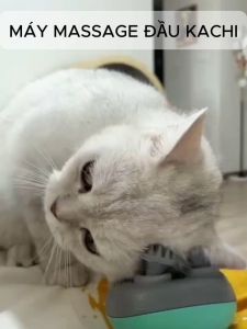Máy Massage Đầu Không Dây Kachi MK399 – Giải Pháp Thư Giãn Hiệu Quả Cho Người Bận Rộn
