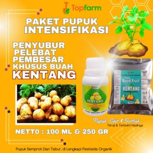 Pupuk Umbi Kentang: Meningkatkan Hasil Panen dengan Booster Buah Kentang