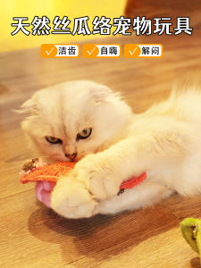 Natural Gourd Pet Toy Slipper Rope Knot Teeth Grinding Teeth Cleaning Self Entertaining De-Stressing Tool for Cats And Dogs