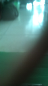 TALE SPIN (ตลับเกม MEGA DRIVE)