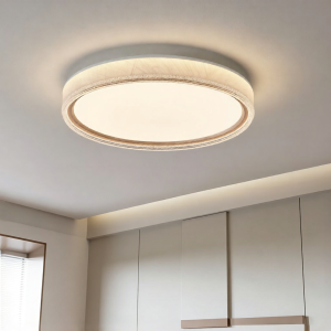 PARSA | Modern Luxury Spectrum-Optimizing Eye-Protective Bedroom Ceiling Light