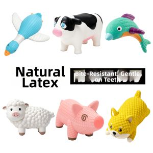HOOPET | Chewable Squeaky Pet Toy