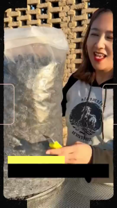 Whole Pitted Prune Premium Quality Natural Sweet Snacks -California Dried Pitted Prunes (Unsweetened) Premium Grade