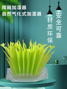 Physical Humidifier Decoration for Reptile Pet Breeding Box Non-Electric Moisturizer with Artificial Plant Landscape Decoration