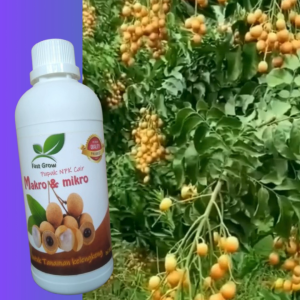 Pupuk Cair 500 ml Booster kelengkeng New kristal Cepat buah | mempercepat pertumbuhan kelengkeng