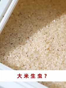 10kg Rice Bucket Household Pest Control Moisture-proof Sealed Flour Storage Tank Food Grade Rice Jar Rice Box