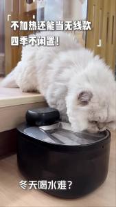 Cats Constant Temperature Drinking Fountain Non-Electric Pet Water Dispenser Automatic Flow Heating Wireless Waterer