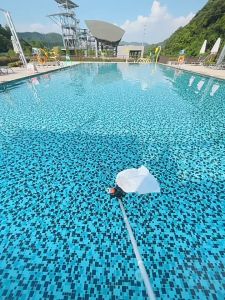 Magical House Swimming Pool Vacuum Cleaner: A Comprehensive Guide