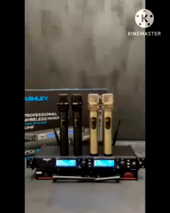 ASHLEY T-101 Mic Wireless Original Profesional | 2 Mic | Sinyal Stabil 100 Meter