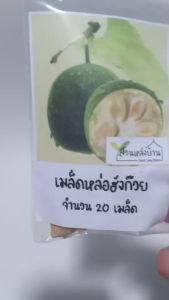 20 เมล็ด หล่อฮังก๊วย เมล็ดหล่อฮังก๊วย มากที่ 20 เมล็ด รวมกับ หล่อฮังก๊วย สำหรับปลูก