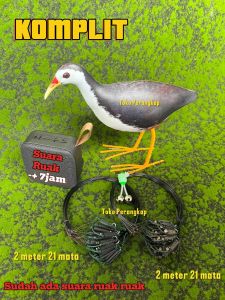 KOMPLIT perankap jerat racik ruak ruak kareo padi wakwak + speaker box mastera