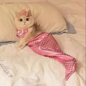 Cat Costume Mermaid Apparel Pet Costume Small Cat Funny Outfit Photo Prop Doll Funny Fish Tail Suit Cat Clothes Raincoat