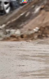 PMB K620 Ride On Car Egen Excavator Bulldozer Mainan anak Mobil Mobilan Pengeruk Dorong Manual Mainan Anak