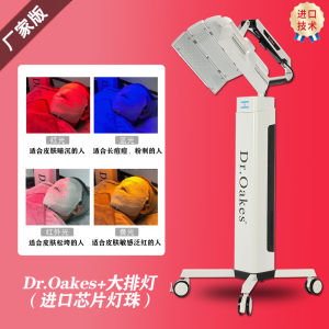 Professional Beauty Salon LED Light Therapy Device Red And Blue Light Acne Treatment Facial Beauty Instrument Skin Rejuvenation