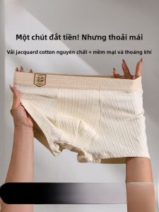 MiiOW | Quần lót nam Catman Pure Cotton 10A Antibacterial A-Class Soybean Original Cotton Size Lớn Quần đùi đơn giản