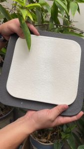 (HOT) Đĩa tròn Sarang 2 màu trắng/đen lòng cong dĩa cạn - Đĩa main nhà hàng sứ cao cấp xuất khẩu