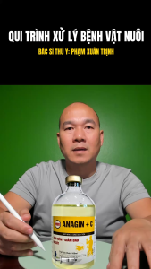 CỐT DỊCH ANAGIN C