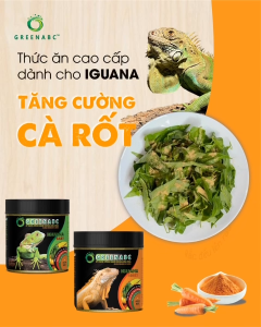 Thức ăn IGUANA TRƯỞNG THÀNH Cà Rốt GREENABC - Dành cho IGU từ 1m trở lên gai bung màu đẹp – Hộp 230g