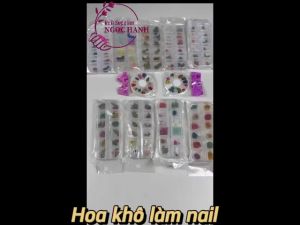 Hoa khô làm nail hoa cúc hoa hướng dương hoa nhí trang trí móng tay kiểu Nhật Bản hoa chùm đắp gel ẩn. Flowers - P001