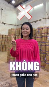 Nhang Quế Sạch Cao Cấp Mộc Lâm 29cm 500cây Nhang Đặc Biệt Ít Khói Ít Tàn Hương Thơm Thanh Dịu