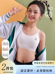 Pure Cotton One-Piece Teenage Girl Bra Anti-Protrusion Beautiful Back High School Students Development Period Underwear