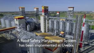 ART : 620 Bulgur Wheat Uvelka 450g | Product of Russia | Quick Cooking | High Fiber EXP 03/2027