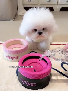 hipidog | Bát Nước Cho Thú Cưng Không Ngấm Nước và Có Thể nổi