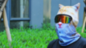 Musion Animal Pattern Balaclava Sun Protection Breathable Quick Dry Fashion Motorcycle Head Cover Outdoor Sports