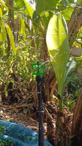 สปริงเกอร์ NIKKO หมุนรอบตัว พร้อมวาล์วหรี่ สวมท่อ PE 16-20 มิล