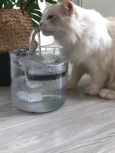 SG Pet Water Dispenser Pet Water Drinking Fountain Bowl with Filter Carbon Dog Cat Puppy Kitten Water Drinking Bowl