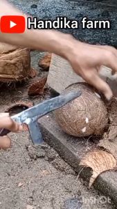 Alat Pengupas & Pencukil Batok Kelapa: Cara Kerja & Manfaatnya