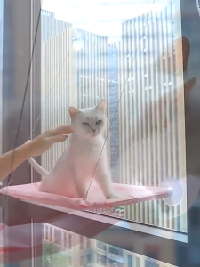 Pet Nest Cat Hammock Window Sill Glass Hanging Foldable Cat Nest Suction Cup Bed