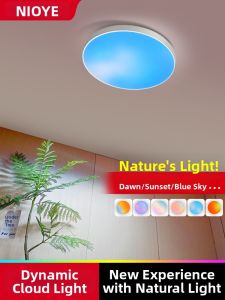 NIOYE | Dynamic Skyview Bedroom Ceiling Light