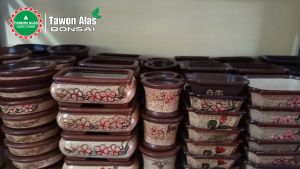Pot Keramik Bonsai Sukulen Kaktus Segi Enam Kecil Medium Bukan Semen - MOTIF 1