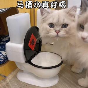 Large Size Automatic Creative Cat Bowl Pet Water Feeder Dish Funniest Internet Red Dog Bowl Pet Supplies for Cats And Dogs