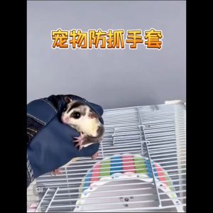 Sugar glider anti-bite gloves