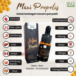 Maxi Propolis SR12 / meningkatkan daya tahan tubuh