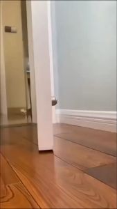 Silicone Door Stopper Reusable Shock Absorbent Block Wedge Doorstops Door Handle Stopper Home Office Door Anti-collision Stopper