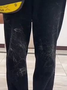 Sarung Tangan Grooming Kucing Anjing Sikat Dua Arah Elektrostatis Bisa Cuci Ulang Anti Bulu